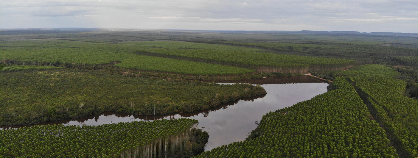 Amazon Rainforest Preservation Cool Effect